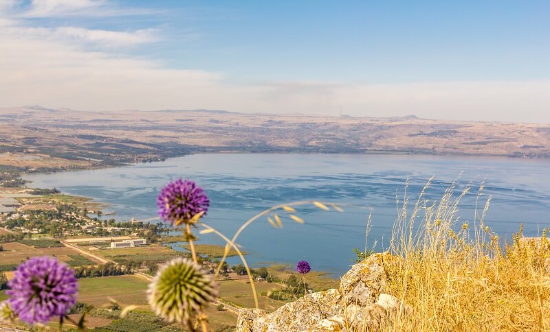 sea of galilee view from above