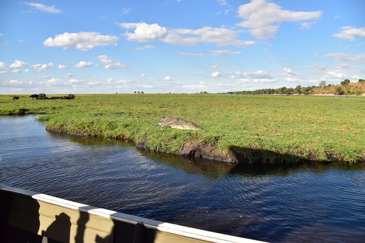 Chobe River Botswana