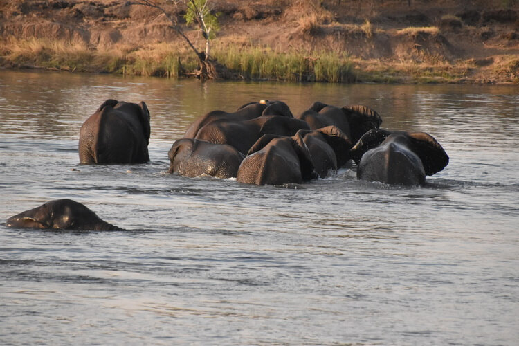 hwange national park zimbabwe