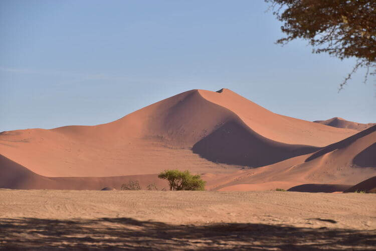 namibia sand dunes