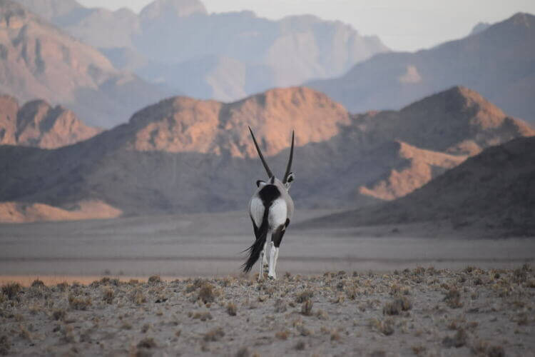 namibia desert