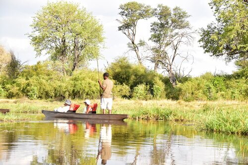 Okavango delta Botswana