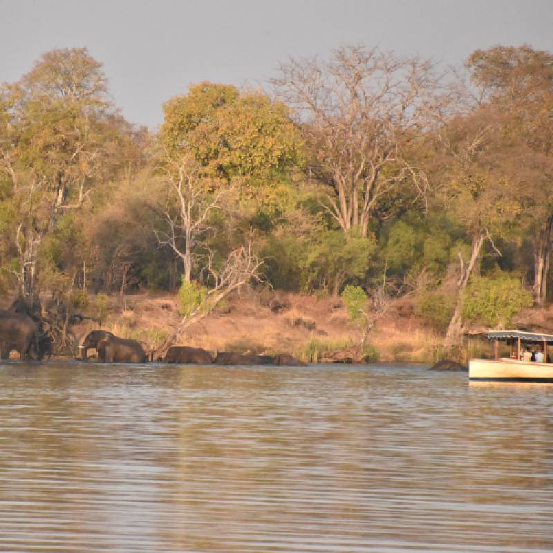 boat tour in the wild