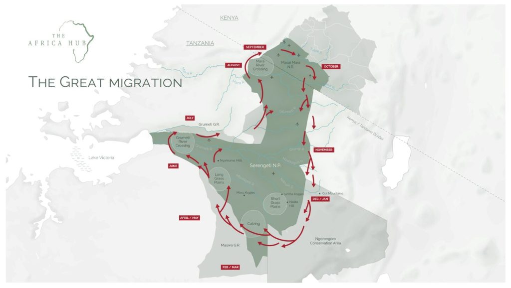 Map of migration of wildebeest in Kenya